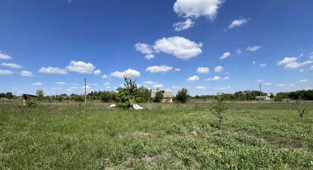 (8) Продам земельну ділянку в Гавришівці 9890 - Вид 4