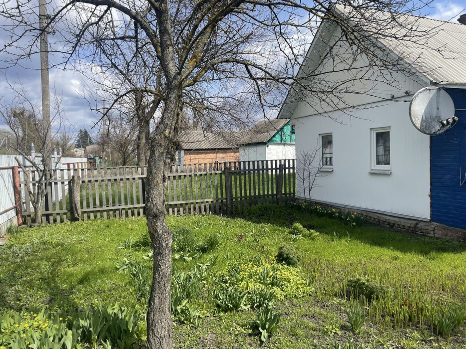 Продам будинок у селі Синівка