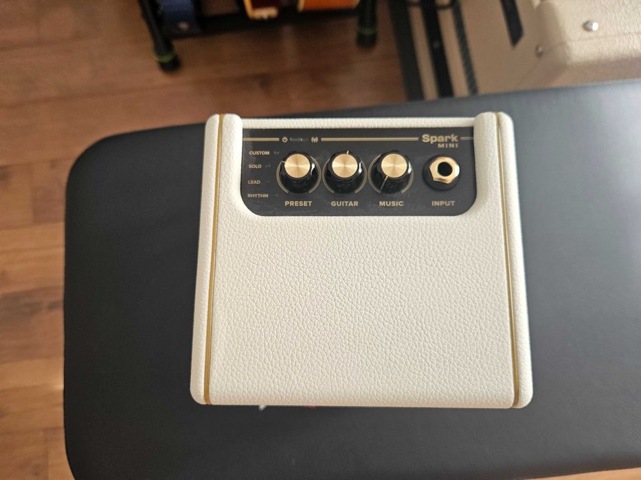 Positive Grid Spark Mini PW