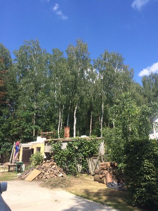 Wycinka,pielęgnacja,drzew,frezowanie,usuwanie karp,rębak,podnośnik