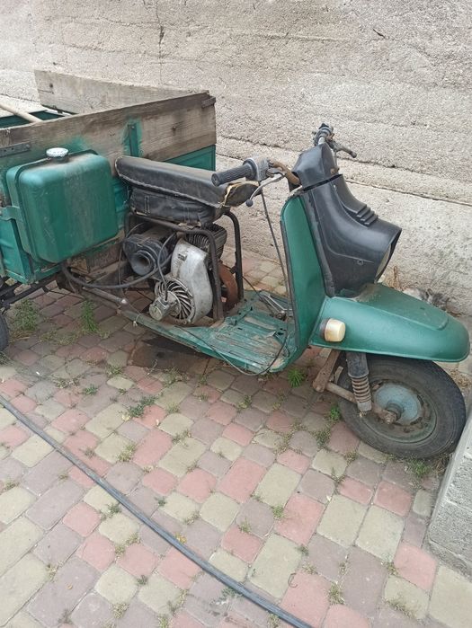 Продам муравей !