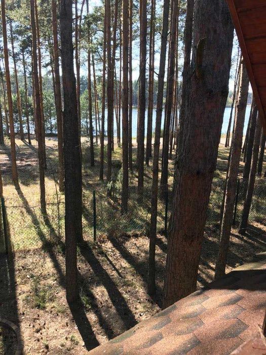 Domek letniskowy pod Sosnami nad Zalewem Ostrowy