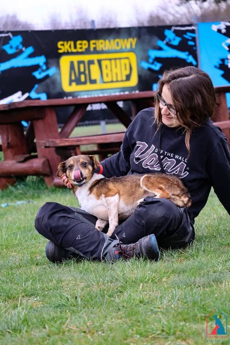 Kajtuś 196/21 - SZUKA DOMU!