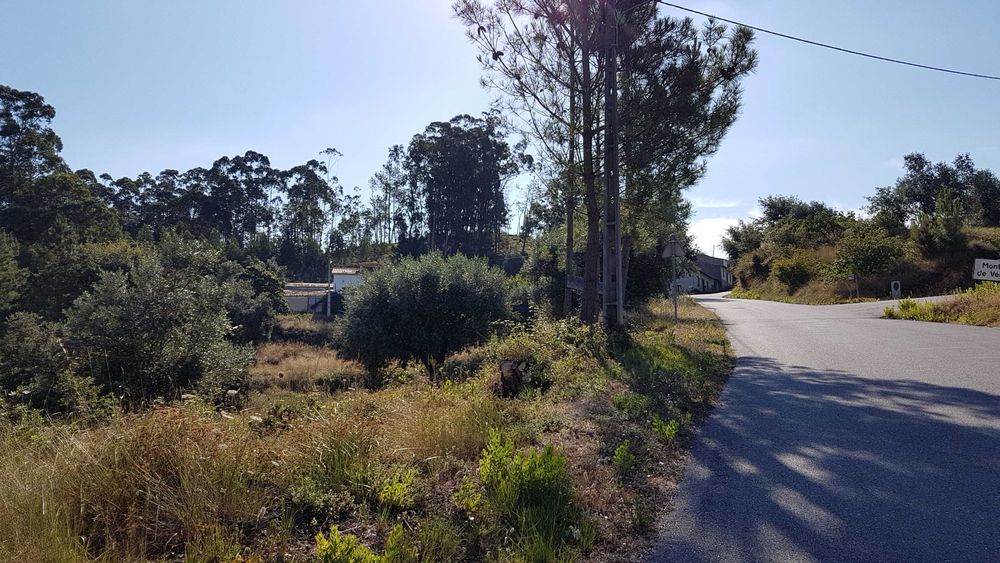 Terreno urbano em Montes de Verigo