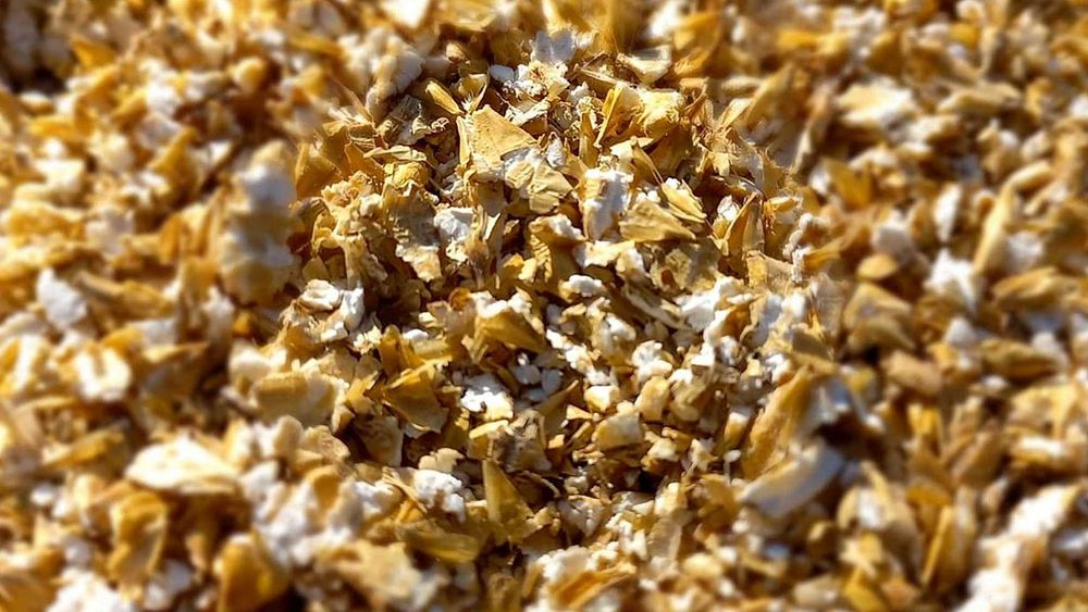 Jęczmień gnieciony karma drób króliki gołębie 20kg