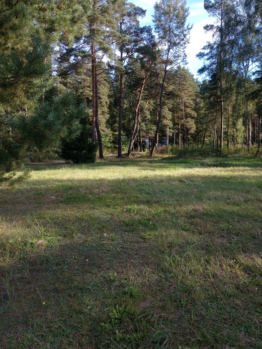 Działka w Radawie.