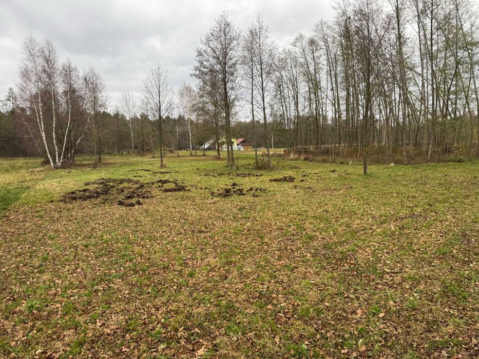 Działka 0,29 ha pod lasem, Smolarzyny, WZ na 2 domy jednorodzinne