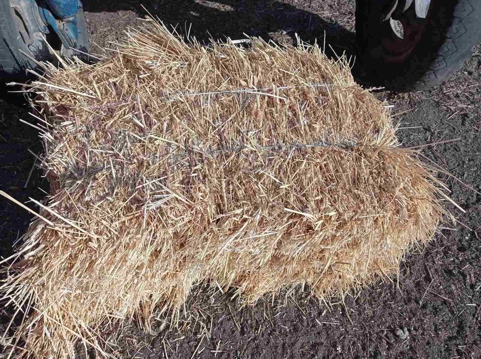 Продам солому пшеничну