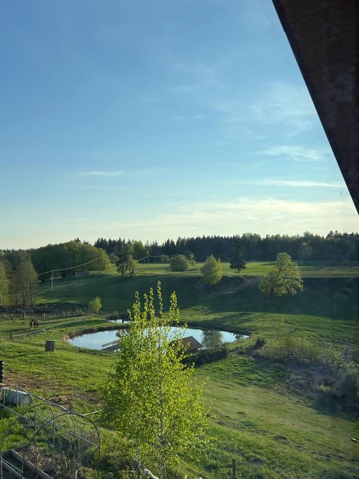 Całoroczny domek nad Doliną