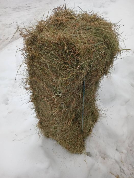 Продам сіно в тюках