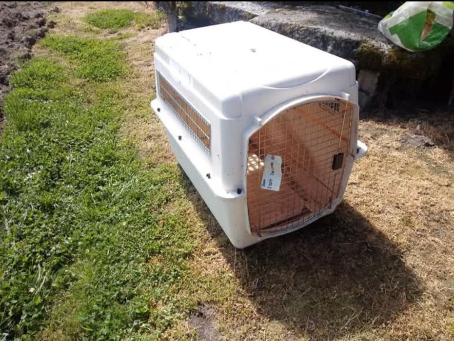 Caixa para transporte de cão