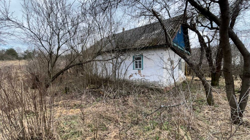 Продаж будинку, Бучанський район, с Плахтянка,