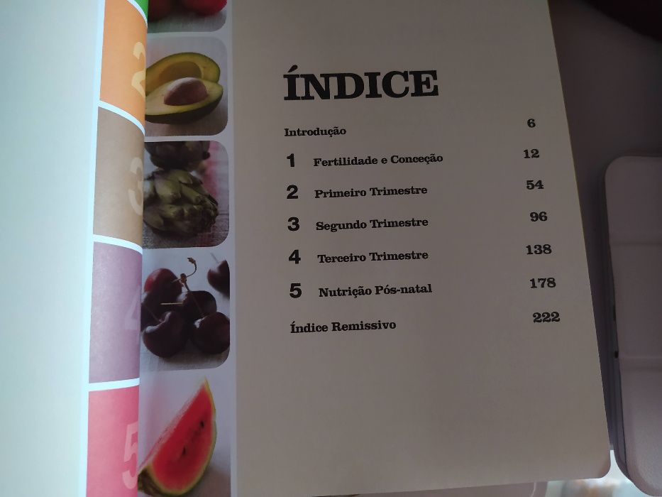 Livro 100 melhores alimentos gravidez
