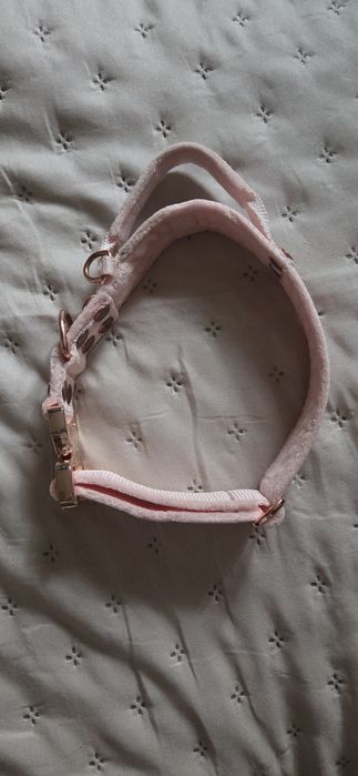 Hundstaff Szeroka obroża z klamrą extreme z rączką