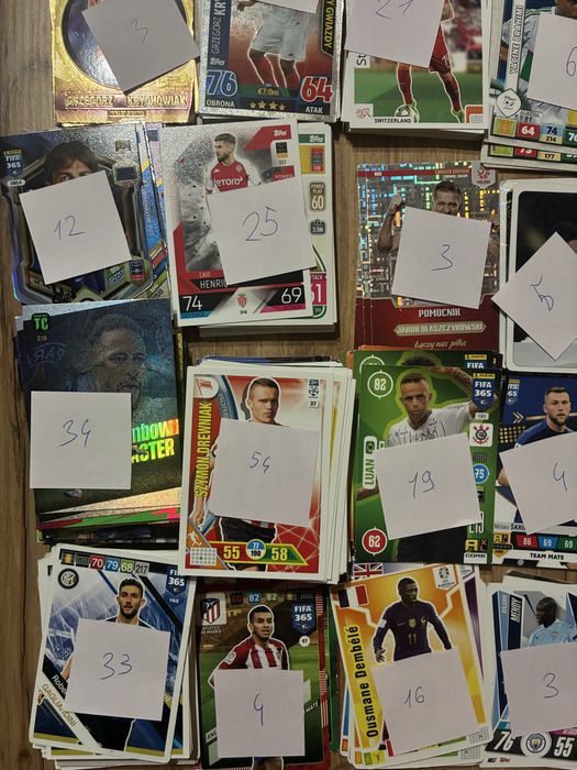 Karty pilkarskie karty kolekcjonerskie panini