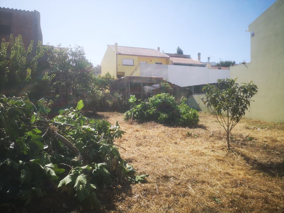 Limpeza de terrenos