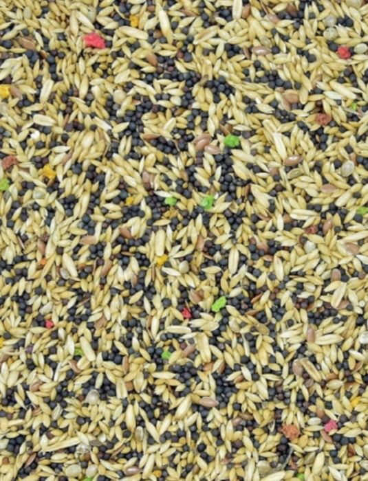 Karma dla kanarków Standard 10kg