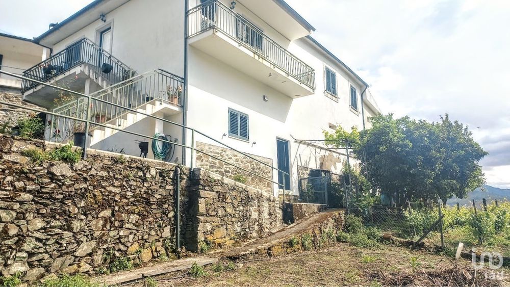 Quinta vinhateira com moradia e adega