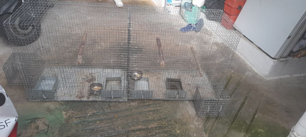 Gaiola com duas devisoes