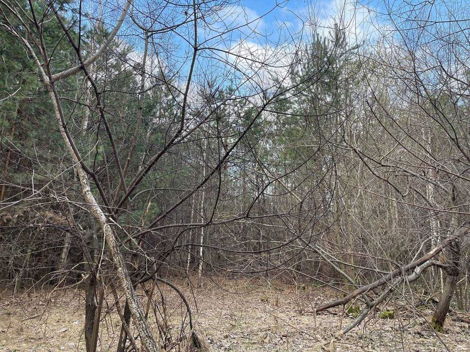 Продаж земельної ділянки с.Бірки - Вид 4