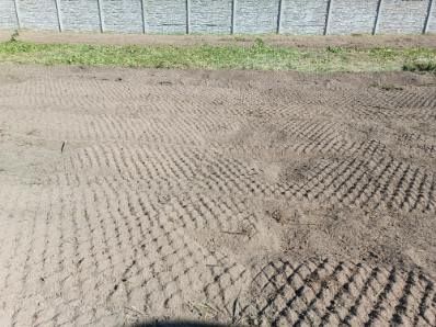 Czyszczenie działek , wycinka drzew,frezarka do pni