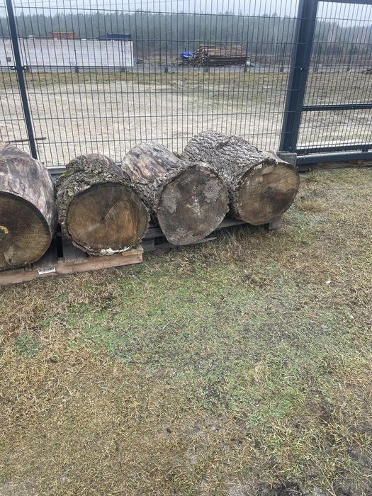 Sprzedam kłody dębowe