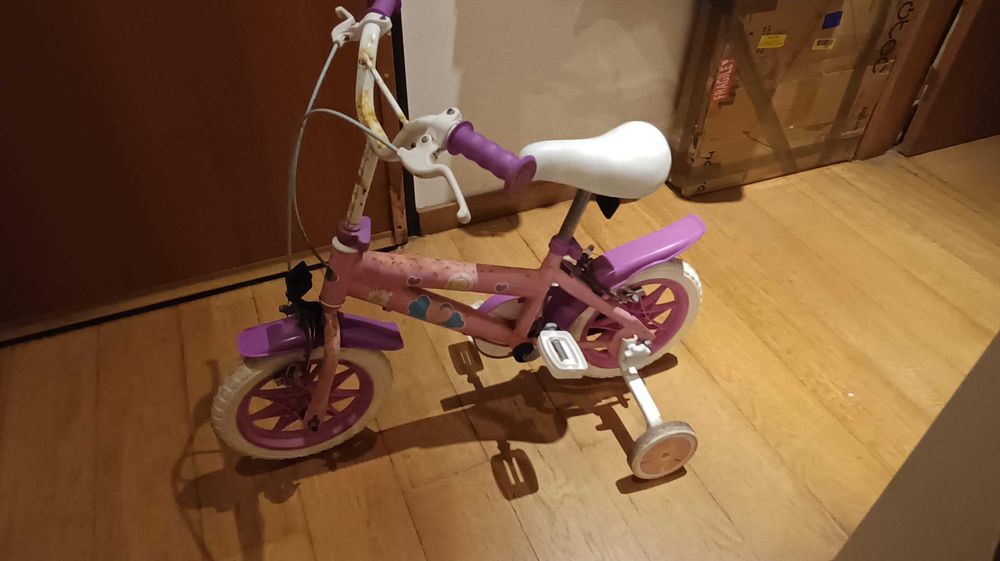 Bicicleta fantasy rosa com rodas de apoio toimsa r12"