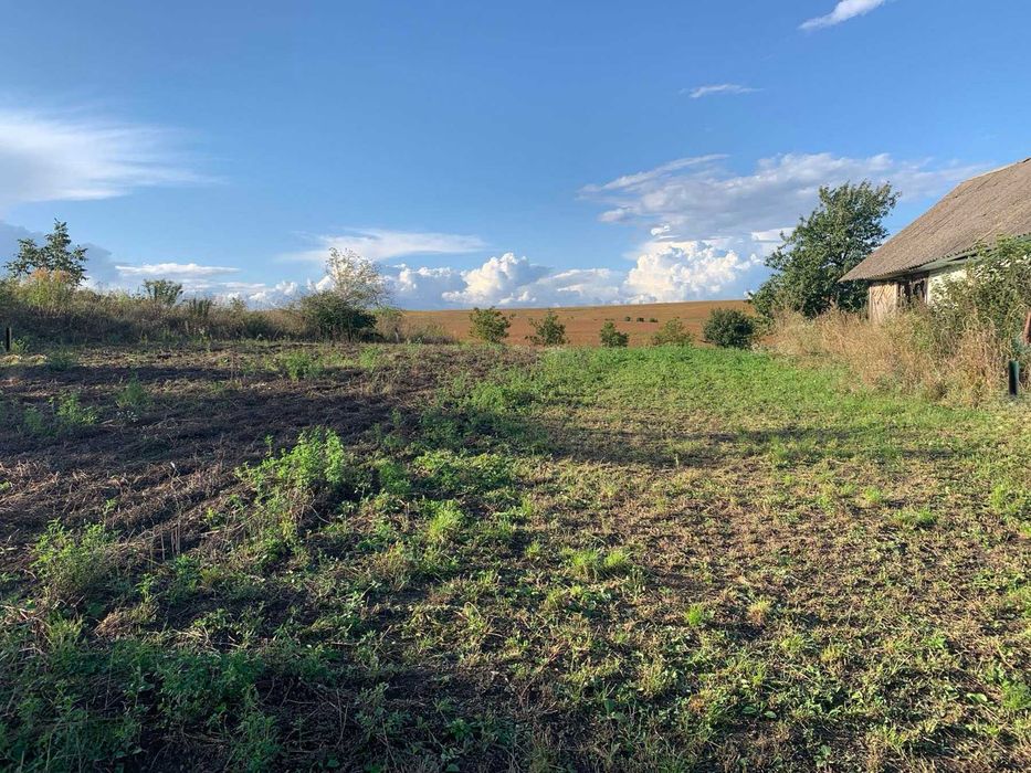 Продам ділянку 25 сотих зі старим будинком, с. Ставки