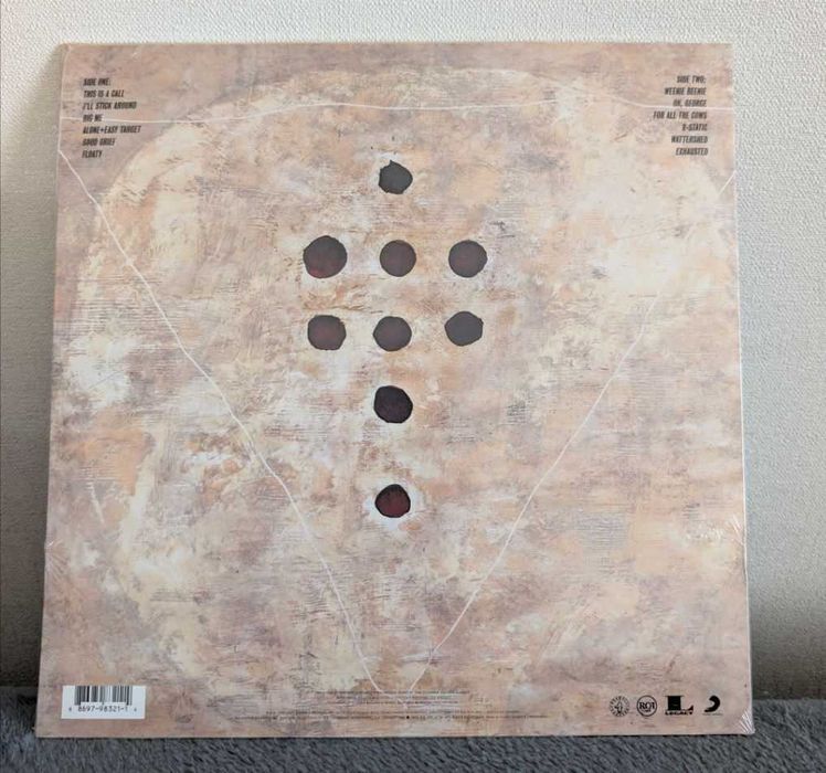 Вінілова платівка Foo Fighters Foo Fighters Vinyl LP