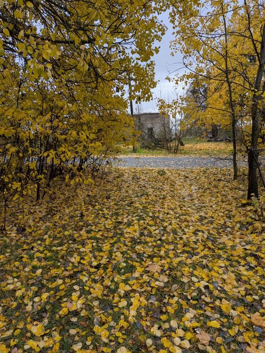 Продається приміщення після реконструкції і 25 сот в с. Буків