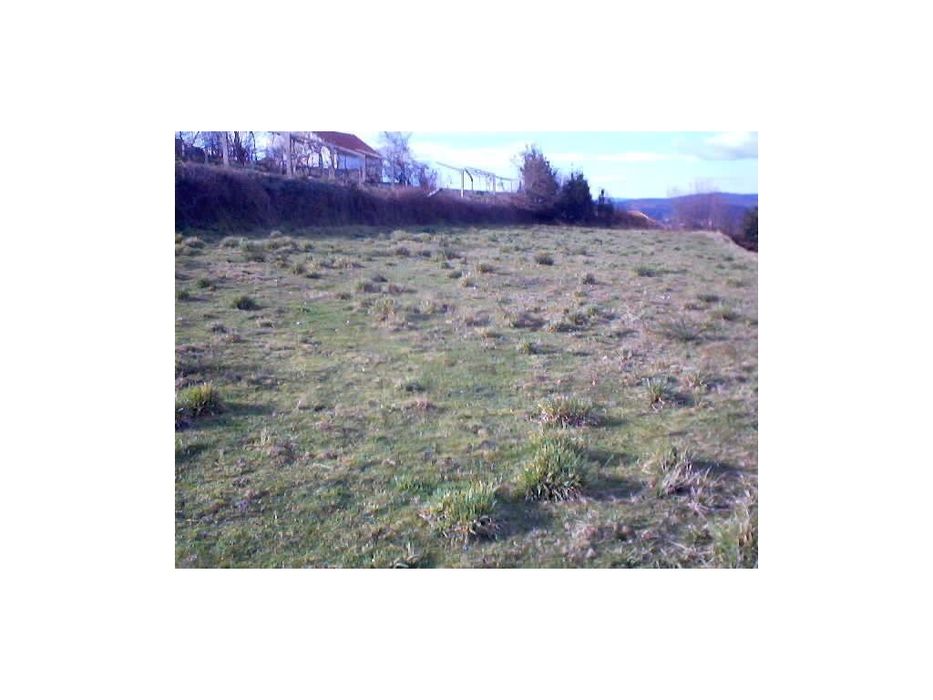 Land for Construction in Infesta