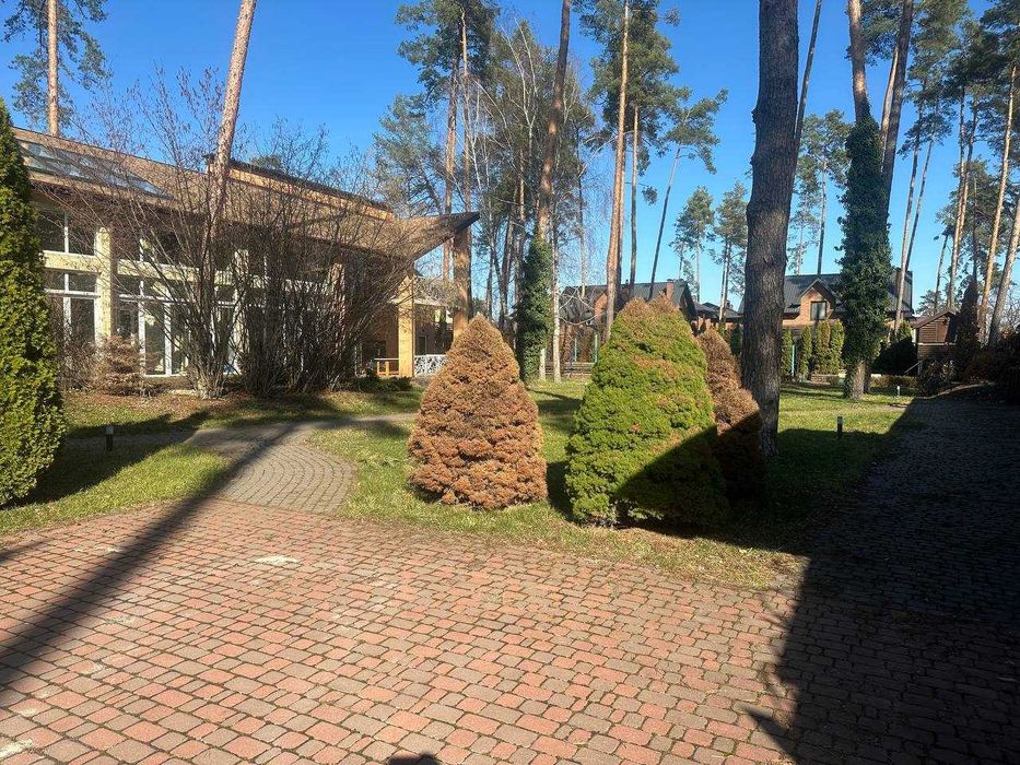 Будинок з басейном 1160 м2, 33 сотки в Ірпені