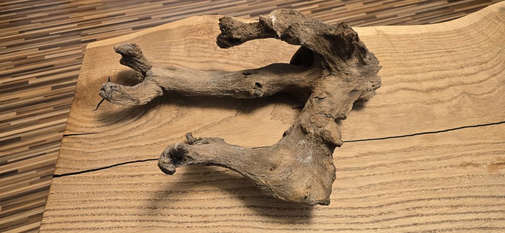 Korzeń do Akwarium Terrarium Ozdoba !!