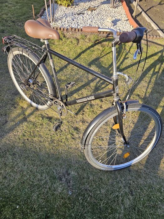 Męski rower Westerheide