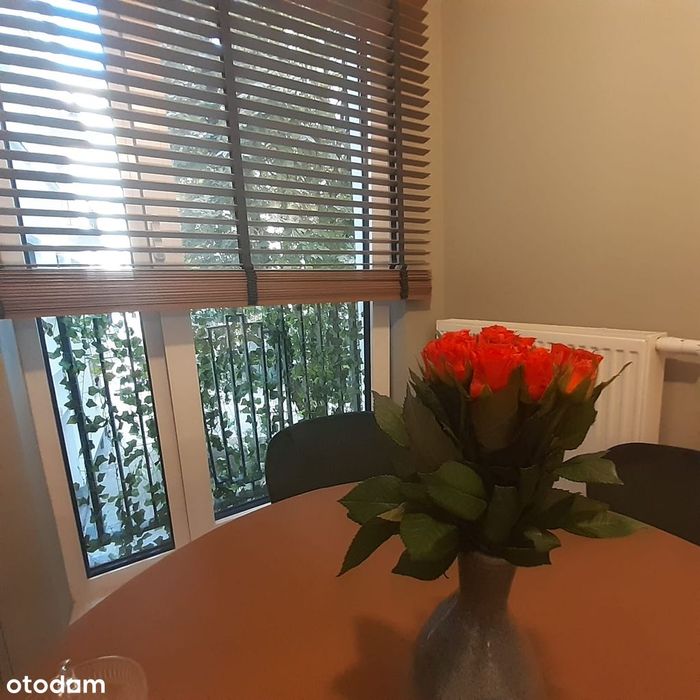 Zdjęcie 6