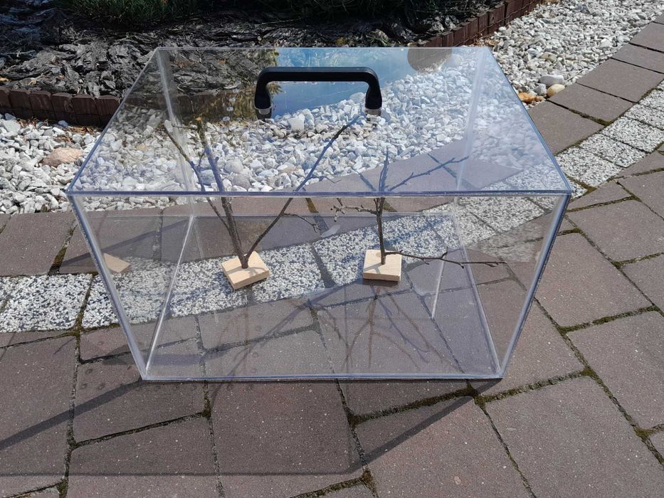 Terrarium do owadów 40x30x26cm z gałązkami wspinaczkowymi