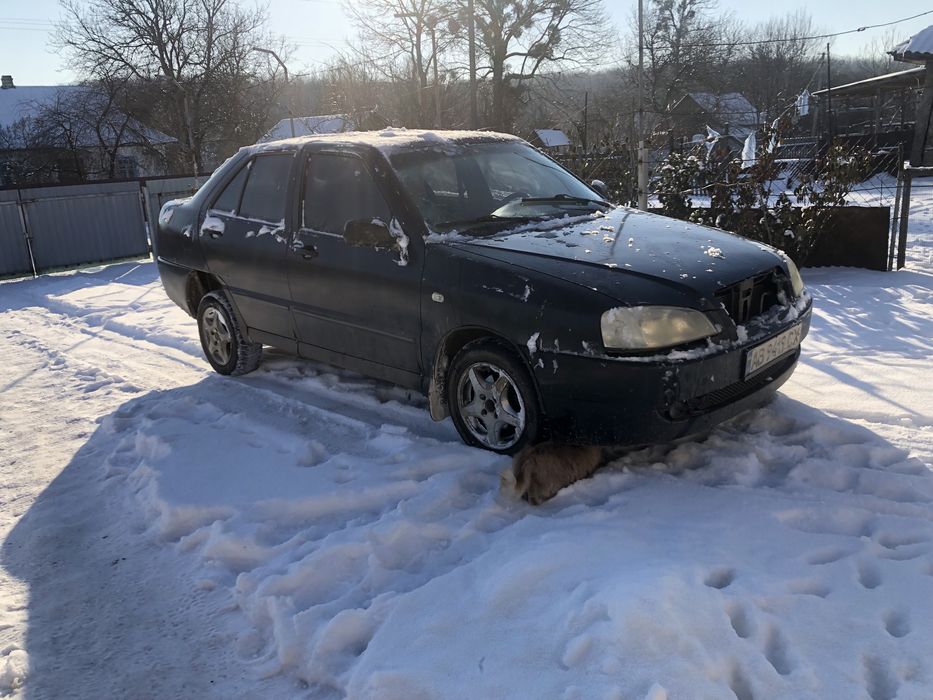 Старушка Амулет на бодрому ходу