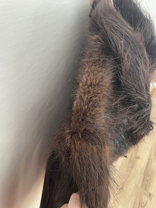 Futro naturalne nutria