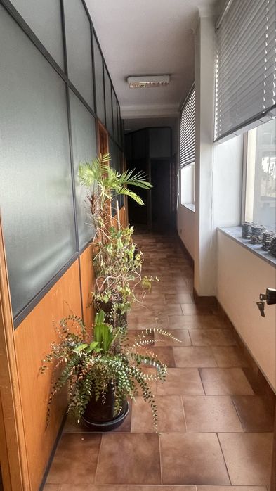 Aluga se loja/ escritorio centro de Seia