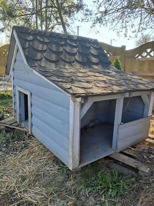 Kojec i buda dla psa