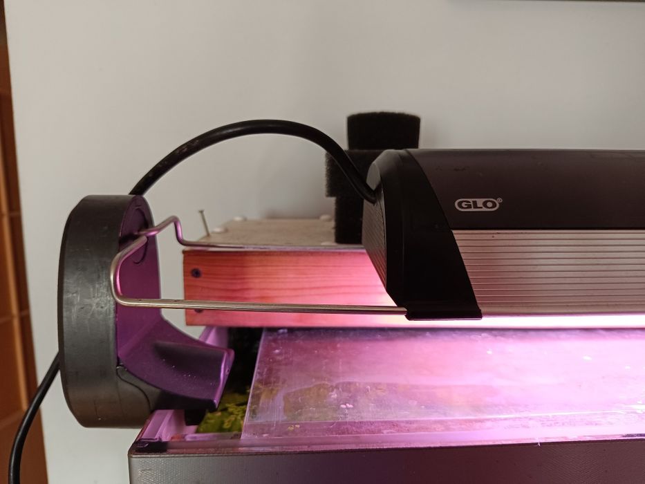 Lampa do akwarium