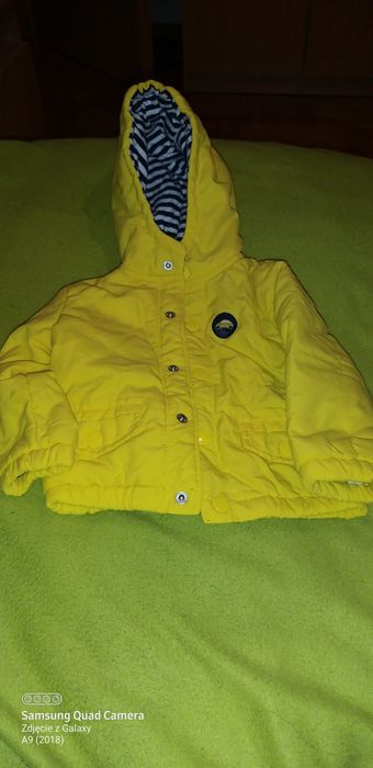 Kurtka Żółta Wiosenna.