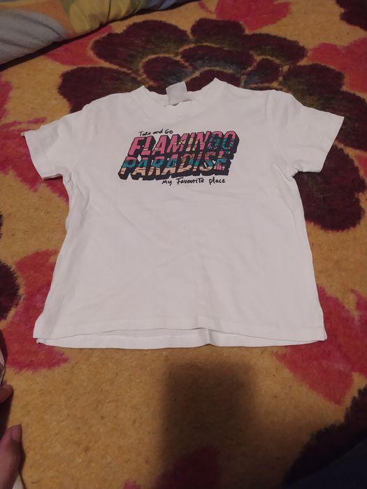 T-shirt Zara menino 18-24 meses flamingo paradise