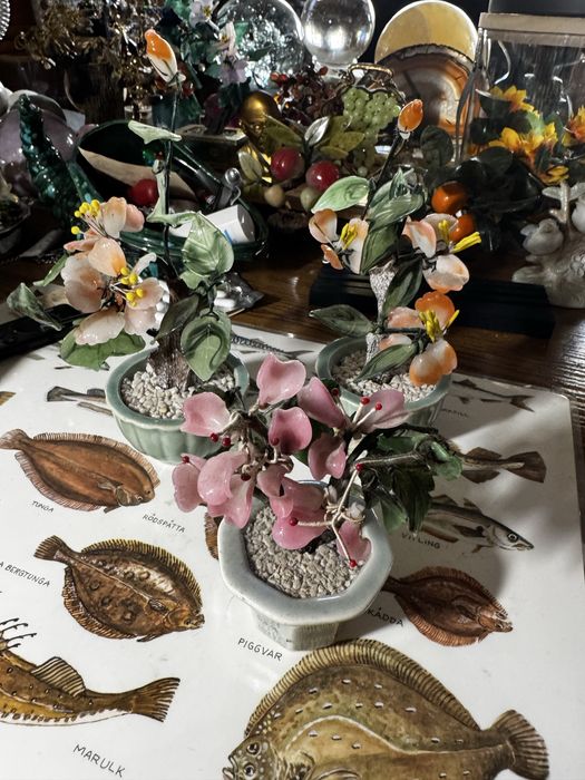 Ozdobne drzewka bonsai