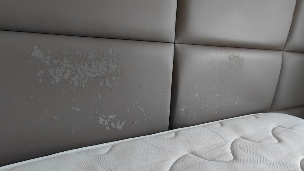 Cama casal - LER ANÚNCIO!