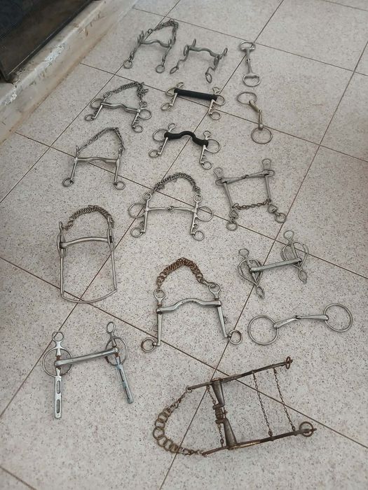 Vendo este material equestre