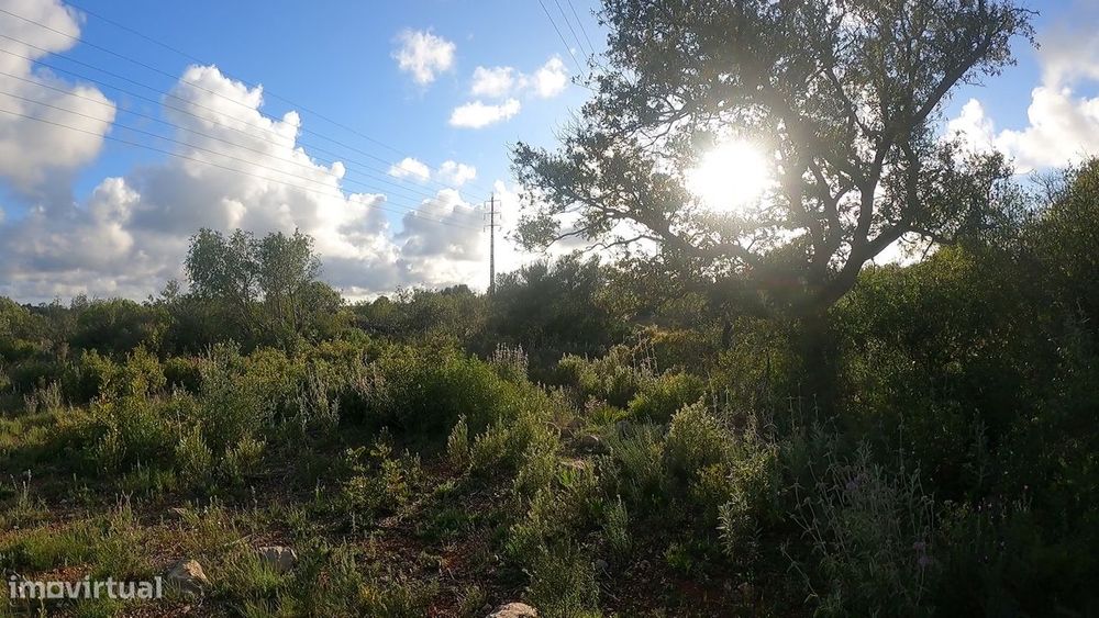 Terreno Rústico  Venda em Conceição e Estoi,Faro