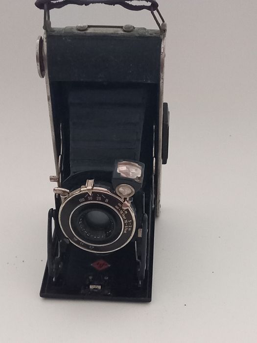 Máquina fotográfica antiga de fole