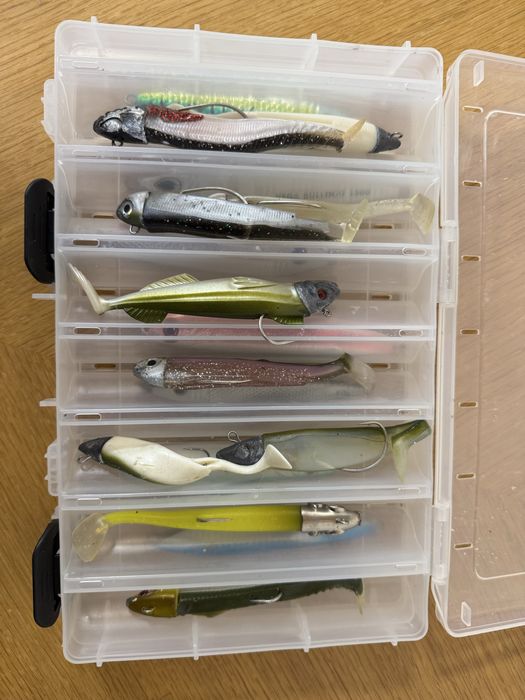 Caixa amostras pesca