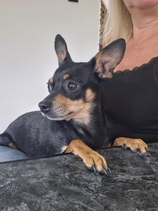 Nela- mała iskierka z charakterem